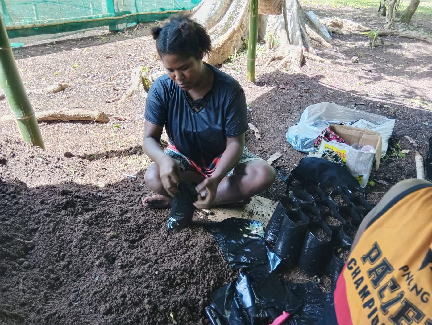Seedling work
