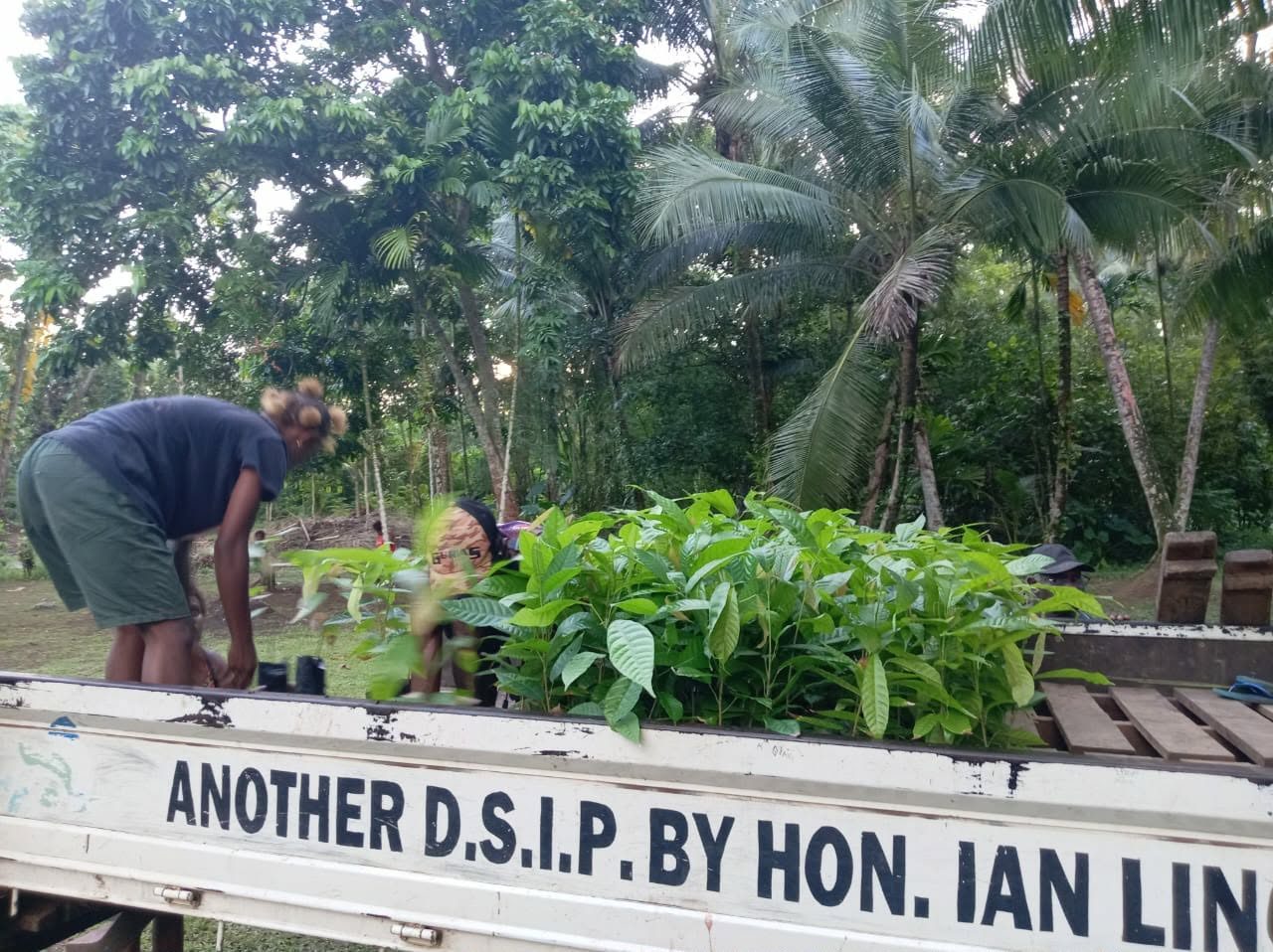 Nursery preparation